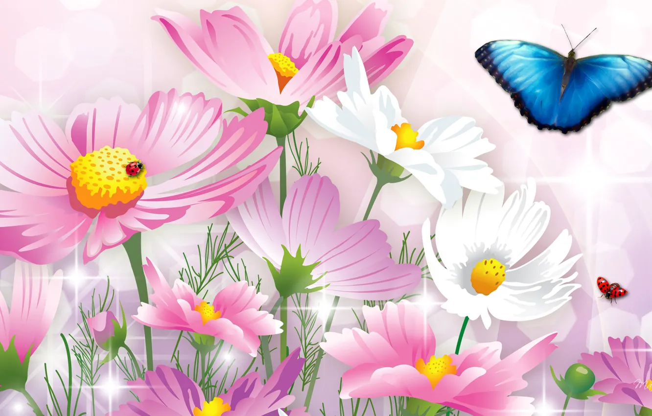 Photo wallpaper flowers, collage, butterfly, ladybug, insect, postcard, kosmeya