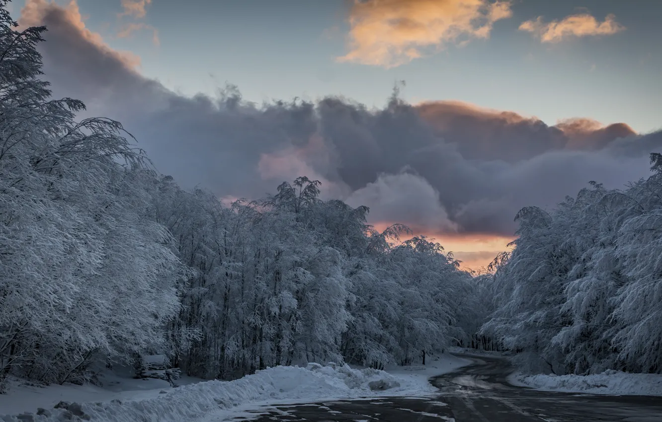Photo wallpaper frost, road, forest, the sky, clouds, trees, frost