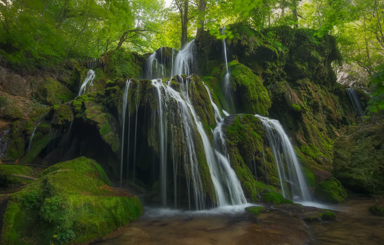 Photo wallpaper greens, forest, trees, stones, rocks, foliage, waterfall, moss
