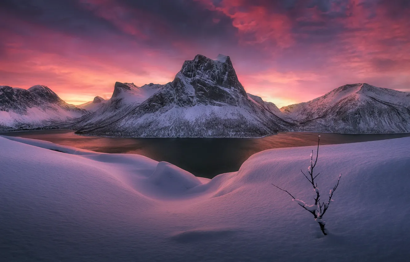 Photo wallpaper winter, sunset, nature