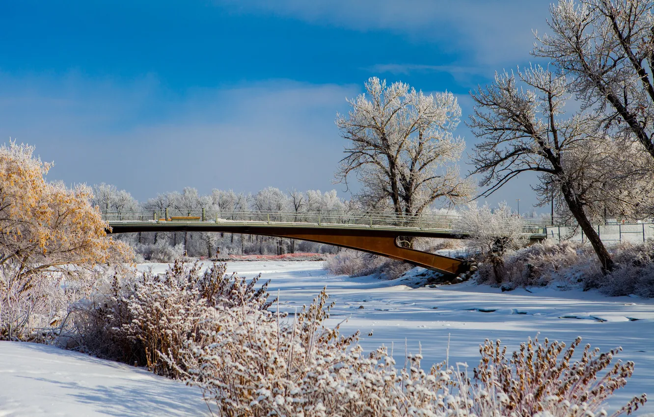 Photo wallpaper bridge, snow, Albert, winter, trees, Canada