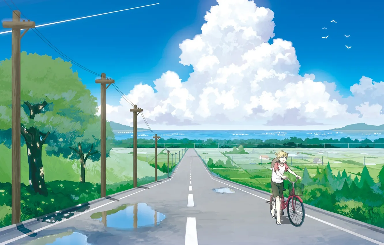 Photo wallpaper road, the sky, clouds, nature, bike, wire, anime, art