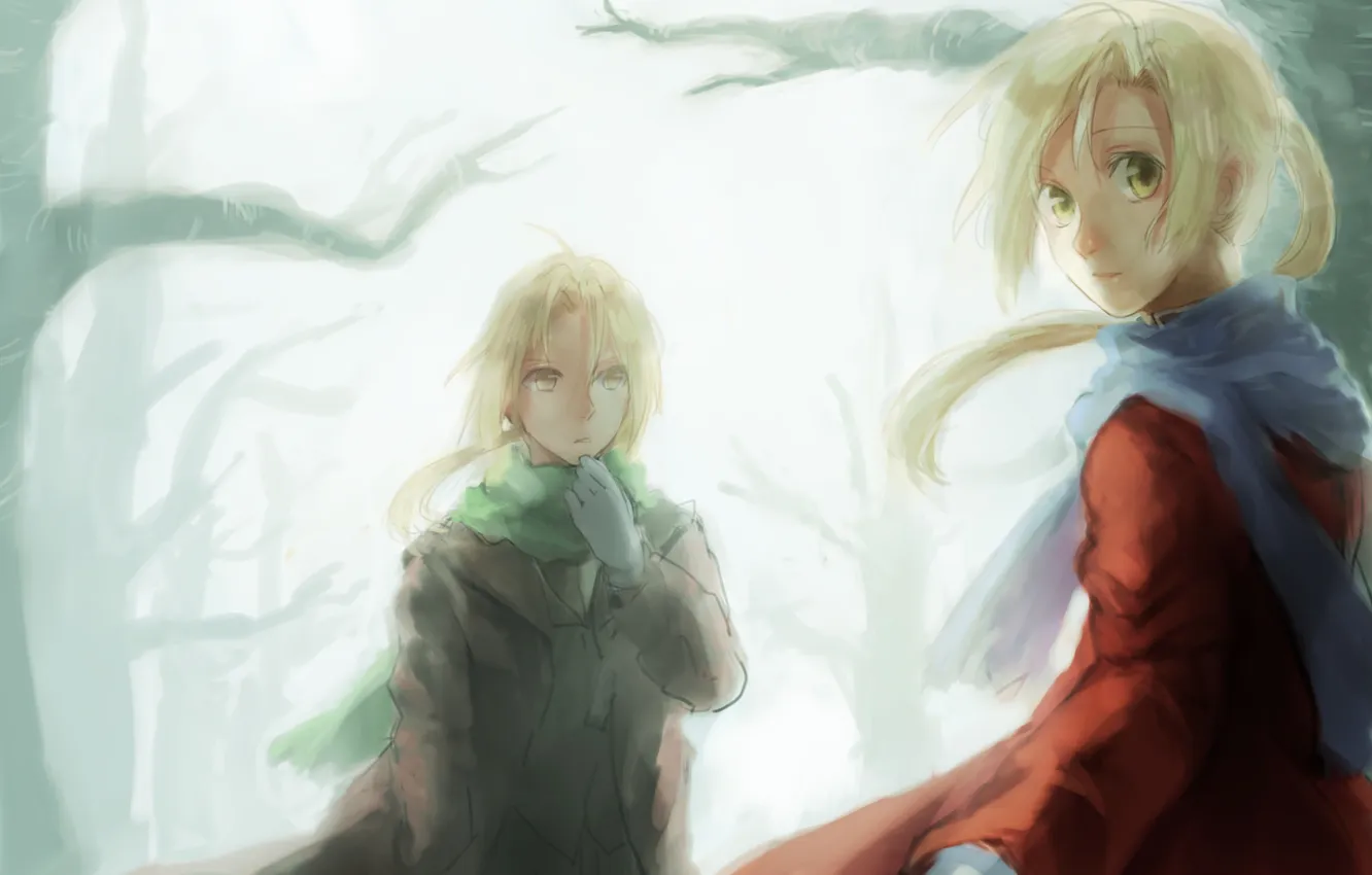 Photo wallpaper trees, branch, anime, art, guys, brothers, fullmetal alchemist, edward elric