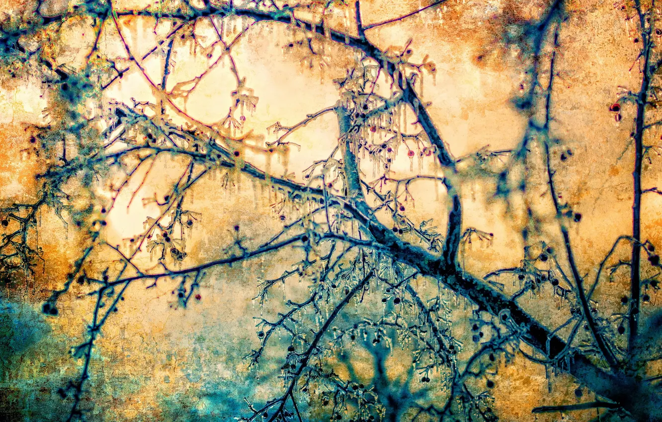 Photo wallpaper tree, color, ice