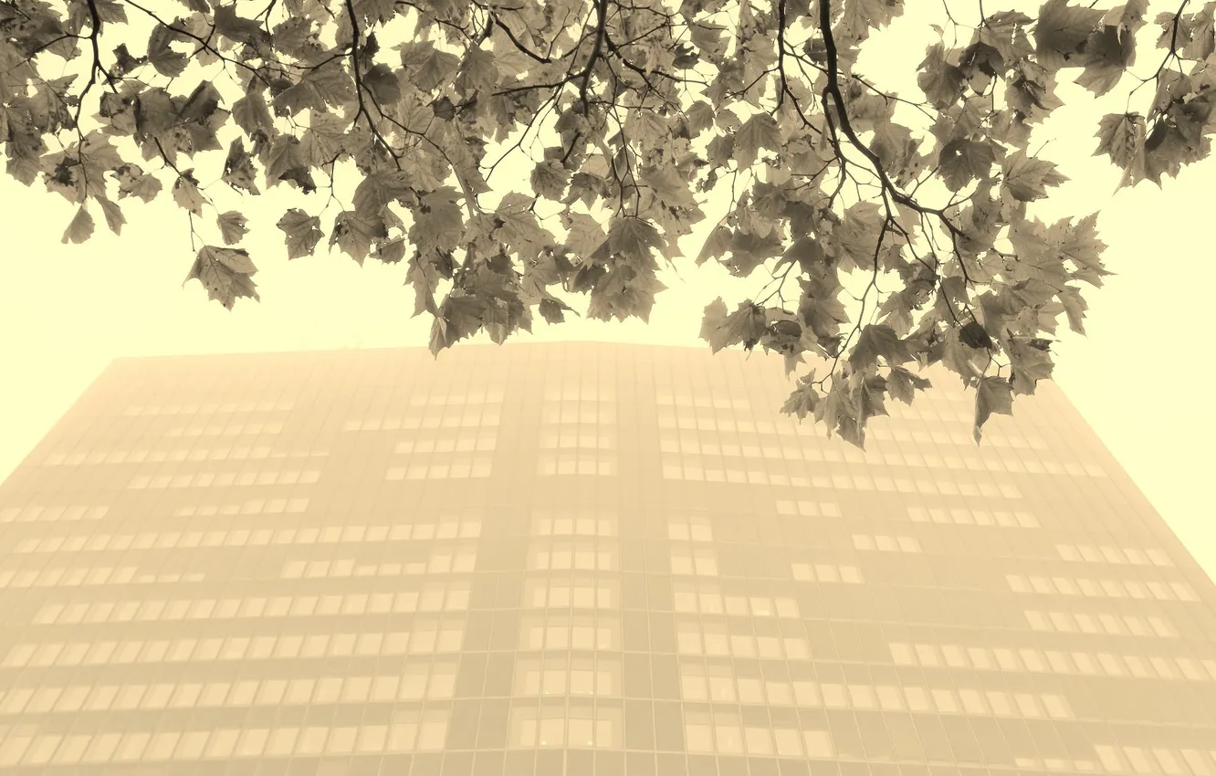 Photo wallpaper autumn, the city, fog