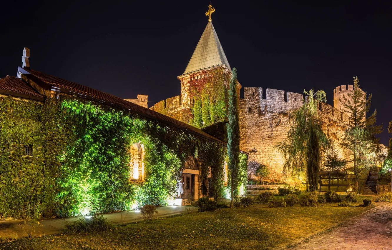 Photo wallpaper trees, night, lights, wall, tower, fortress, the bushes, Serbia