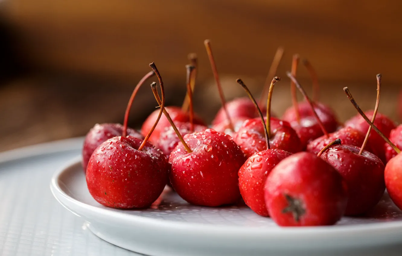 Photo wallpaper small, red, table, plate, apples, Ranetki, apples, drops