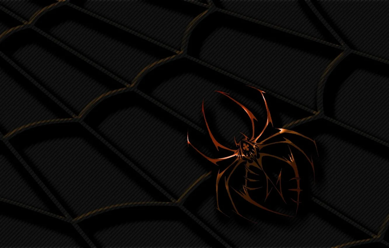 Photo wallpaper web, Spider
