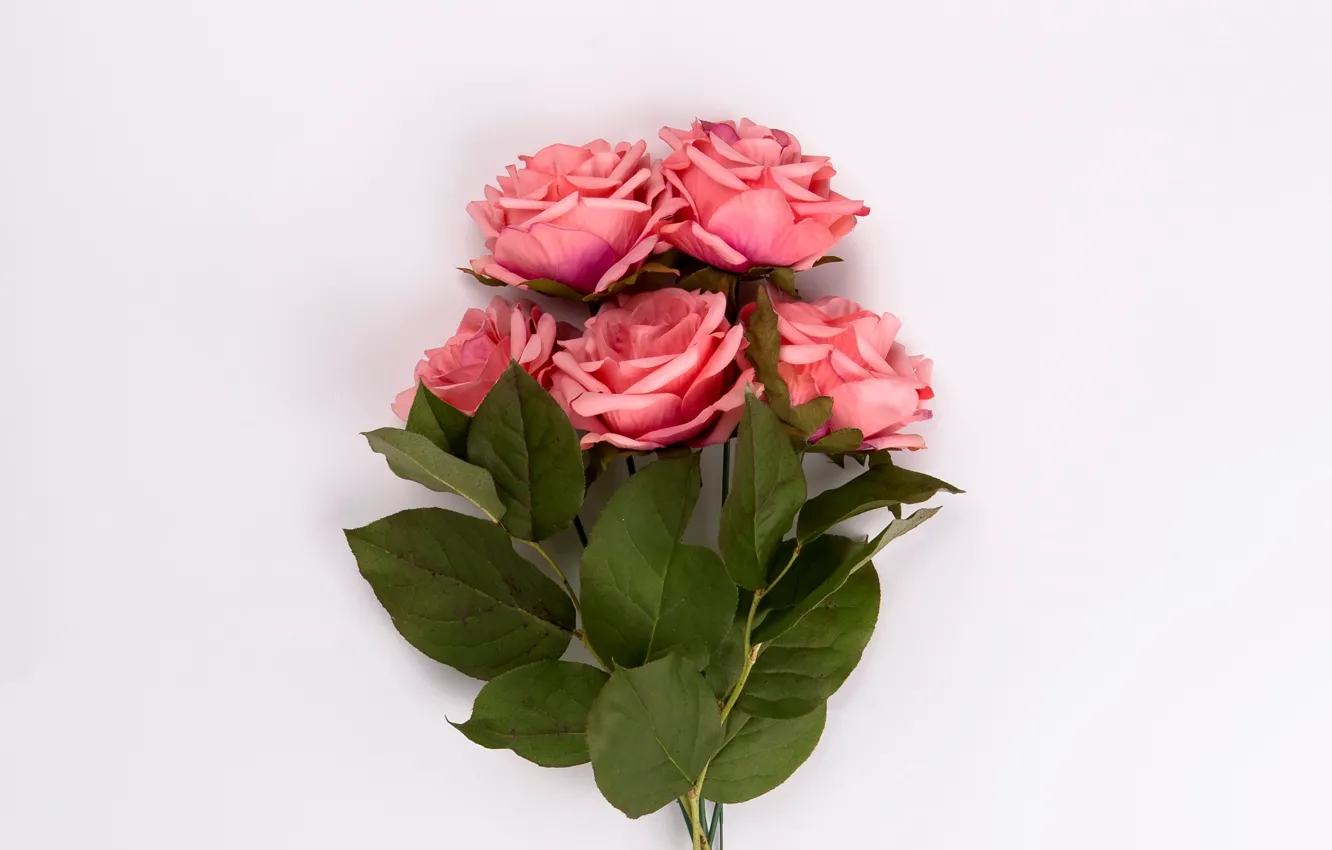 Photo wallpaper roses, bouquet, pink, buds, pink, leaves, roses