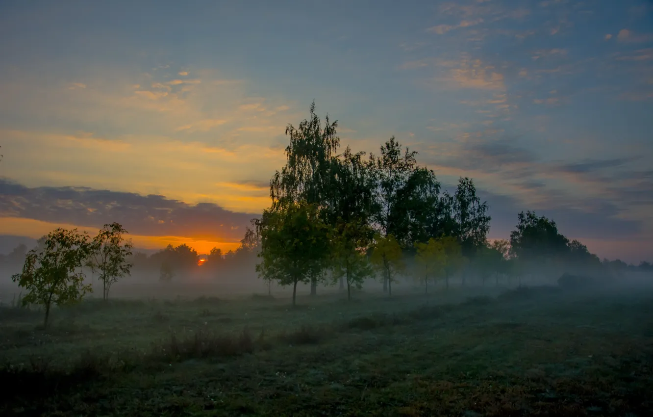 Wallpaper autumn, fog, dawn, morning for mobile and desktop, section