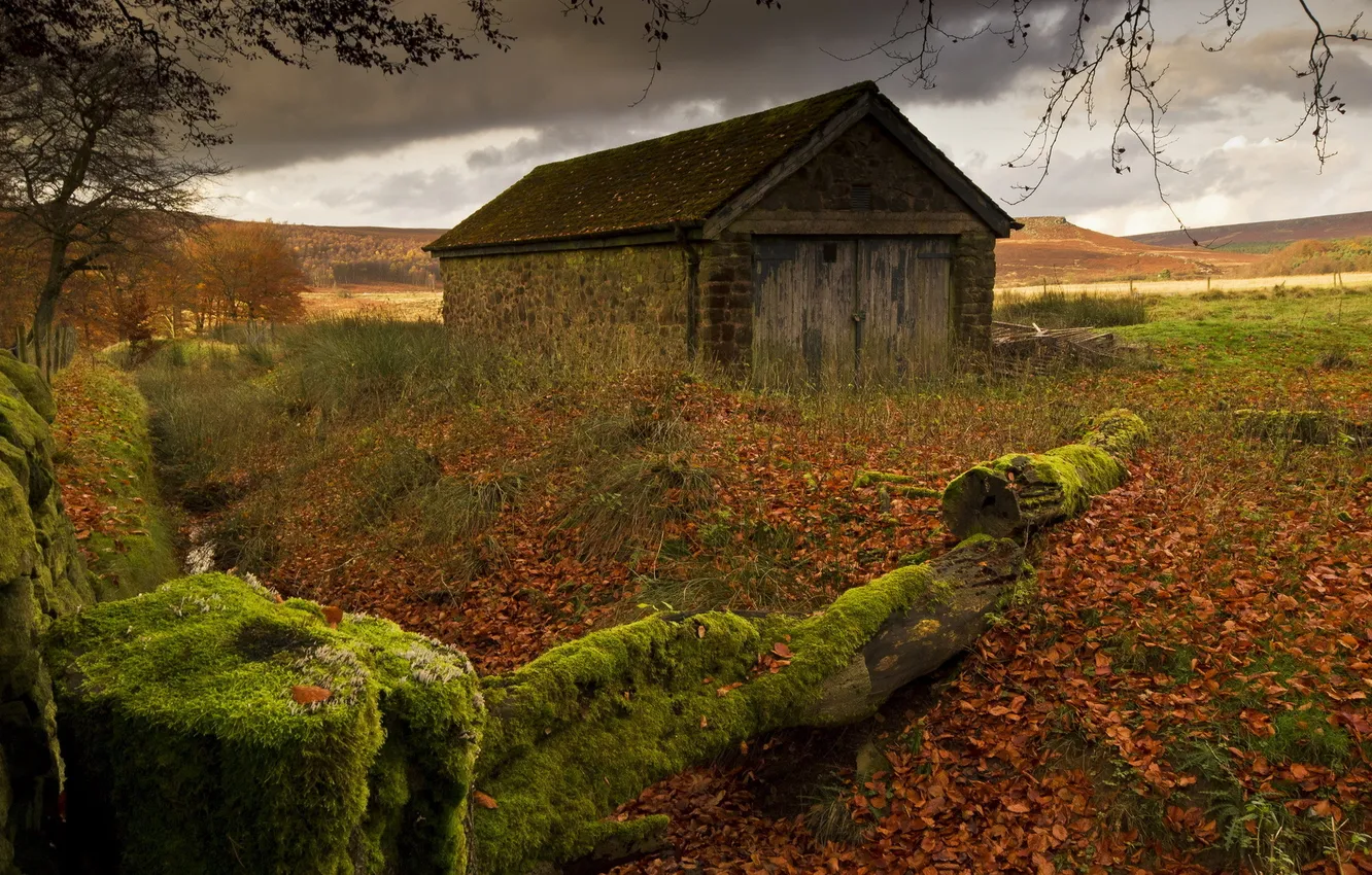 Photo wallpaper the fence, moss, home
