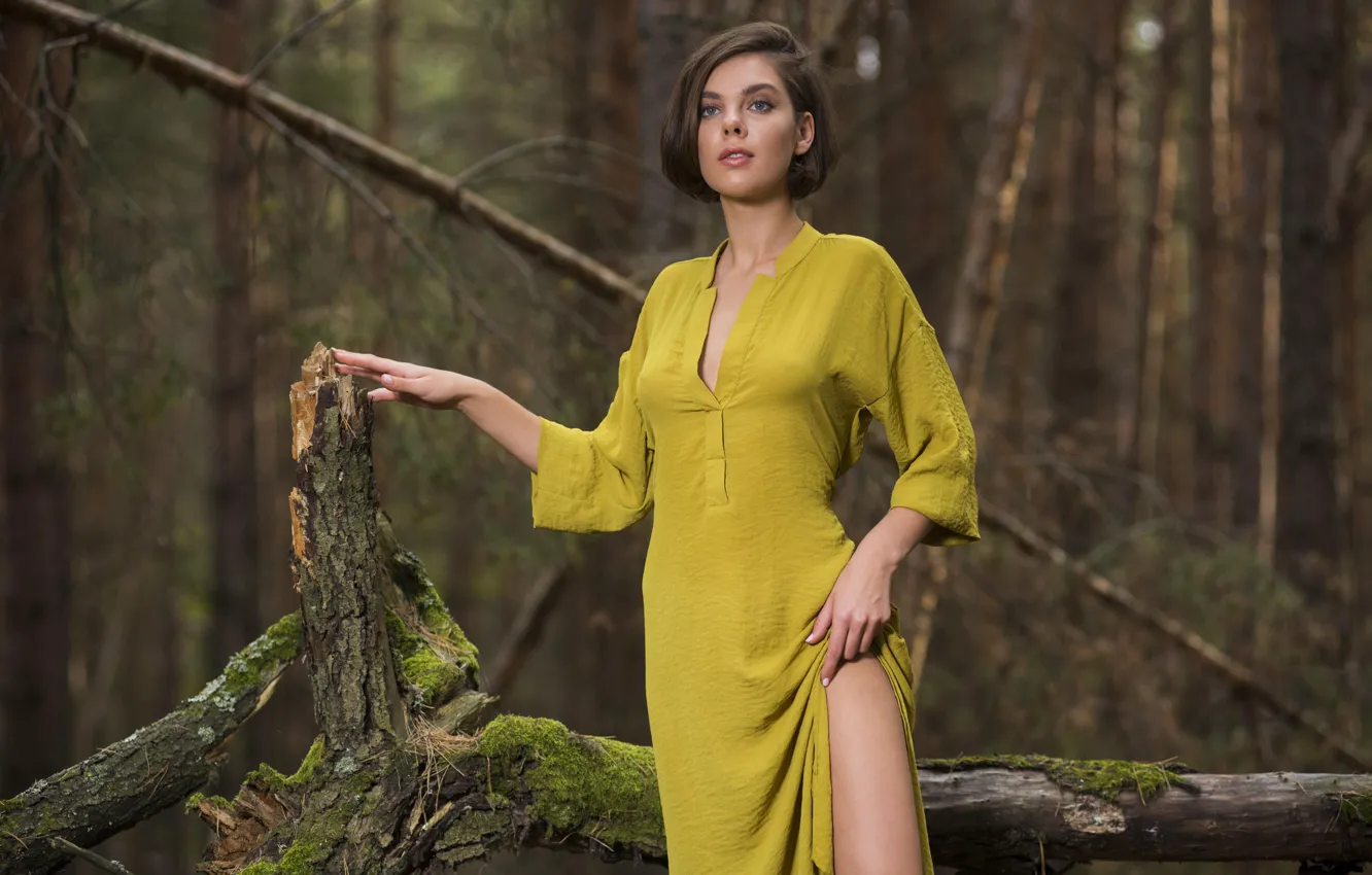 Photo wallpaper dress, brunette, Dakota A, wearing, from-Met-Art, In Forest