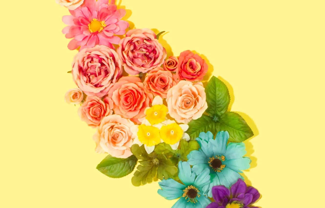 Photo wallpaper flowers, background, roses, flower