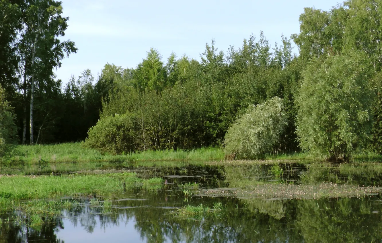 Photo wallpaper summer, water, nature, lake