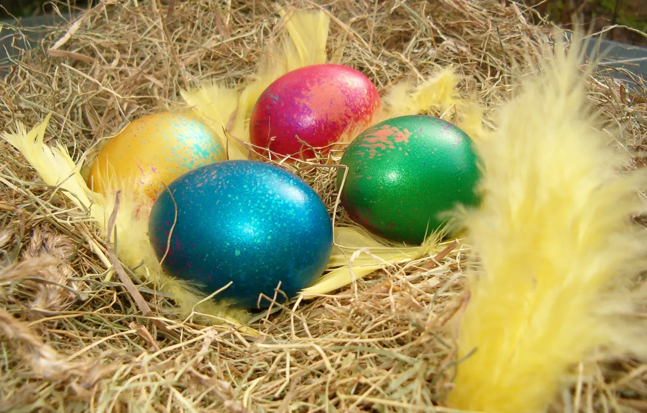 Photo wallpaper holiday, eggs, Easter
