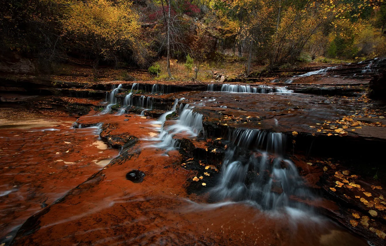 Photo wallpaper autumn, water, trees, nature, river, rocks, USA, threads