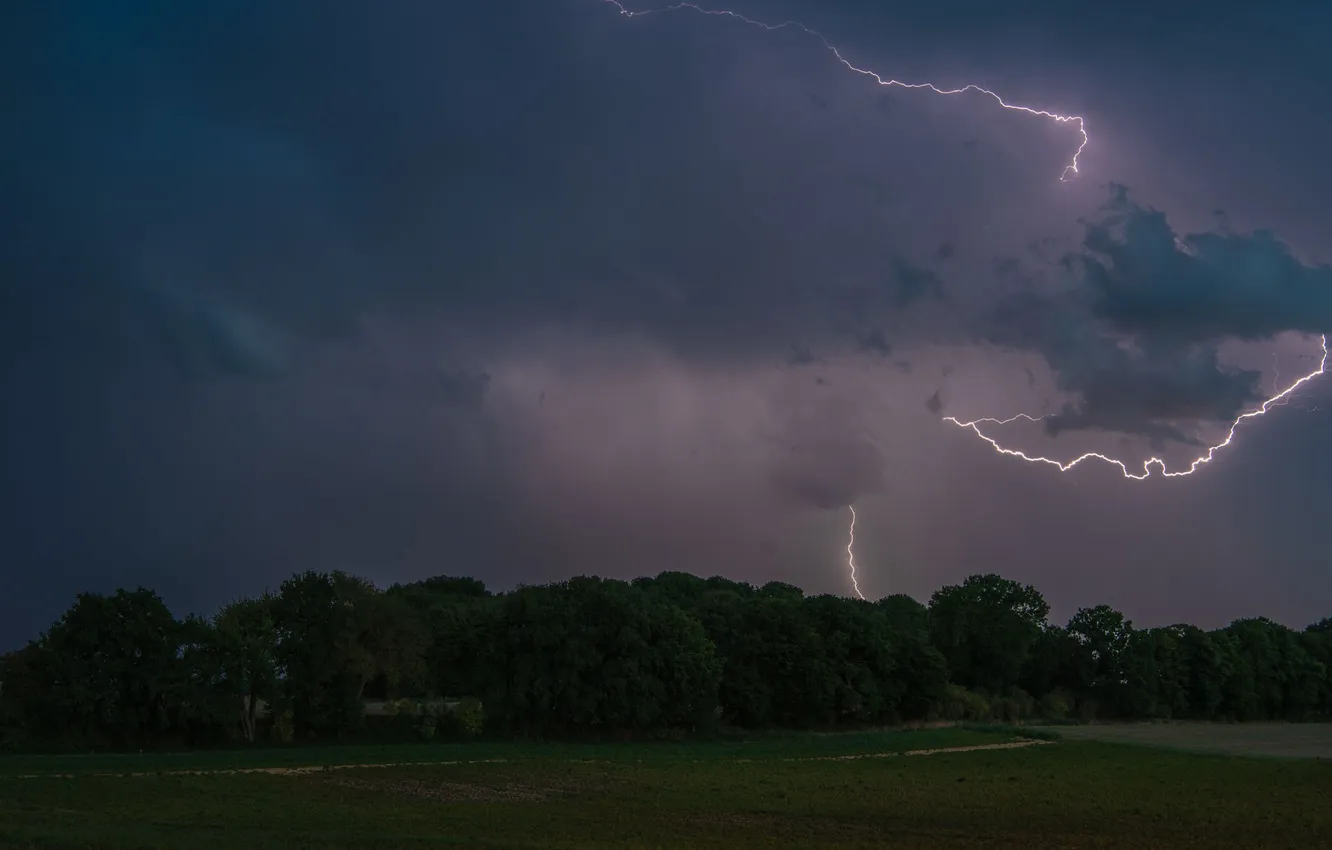Photo wallpaper forest, trees, lightning, meadow, bad weather, stormy sky, Ruslan Avdevich, lightning flash