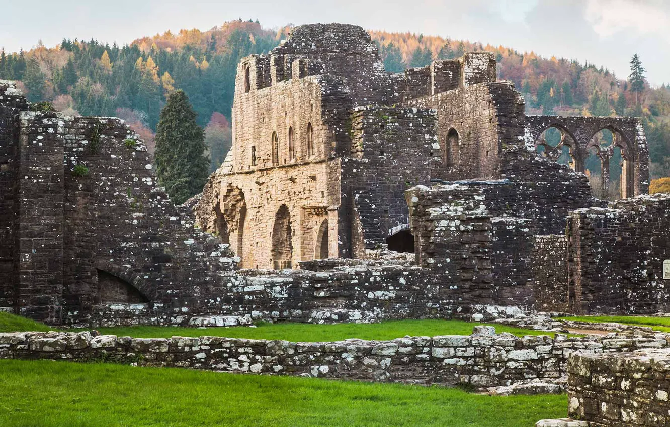 Photo wallpaper ruins, Wales, Monmouthshire, Internshi Abbey