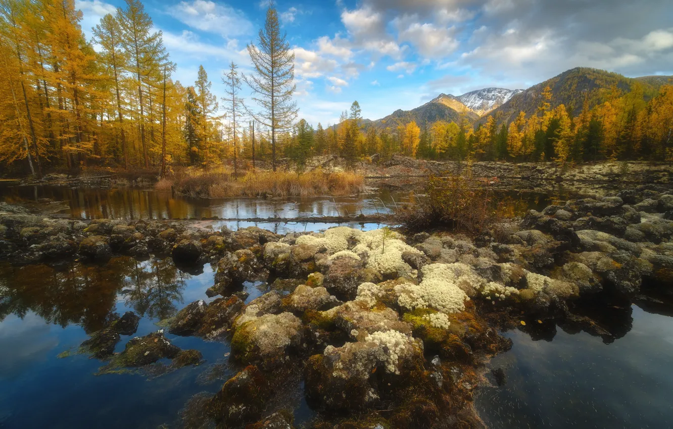 Photo wallpaper autumn, water, landscape, mountains, nature, vegetation, lava, taiga