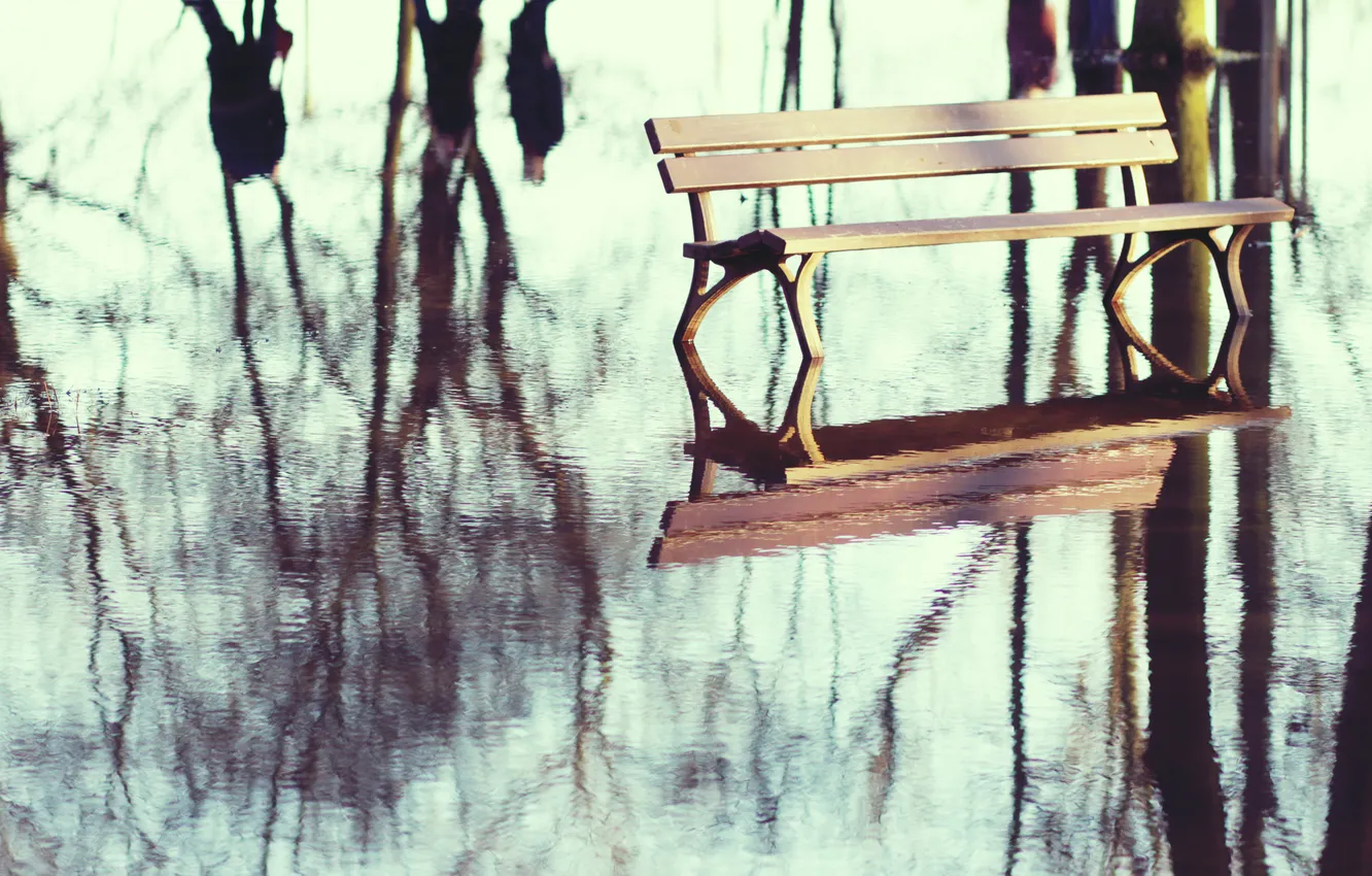 Photo wallpaper forest, water, trees, bench, reflection, shop