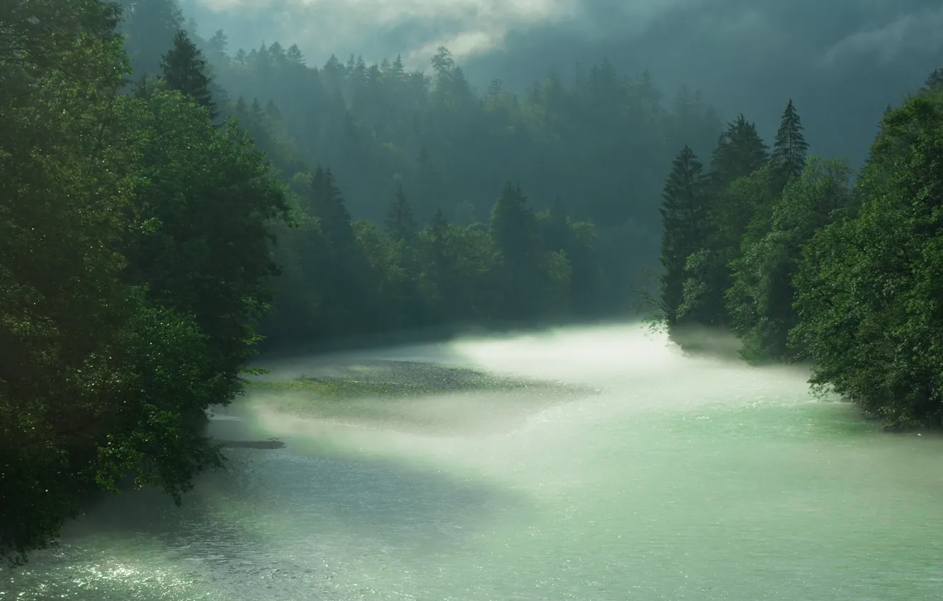 Photo wallpaper forest, river, rain, Bayern, Berchtesgaden