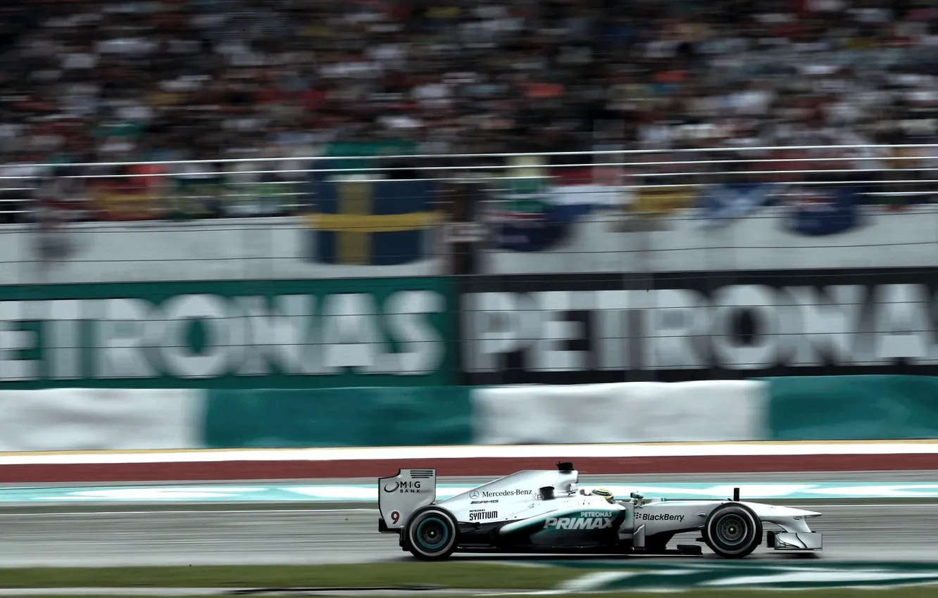 Photo wallpaper Nico, W04
