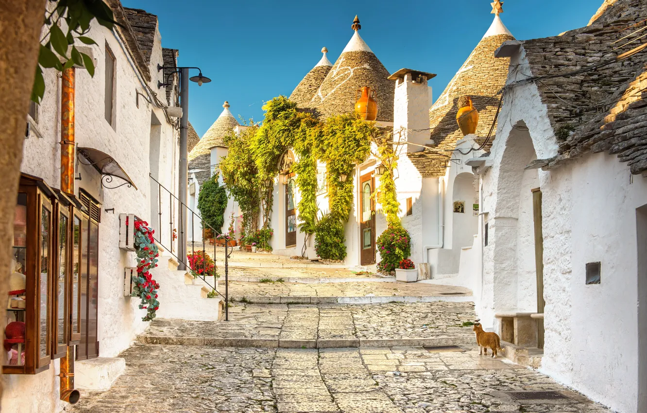 Photo wallpaper street, home, Italy, town, municipality, Alberobello, Trulli