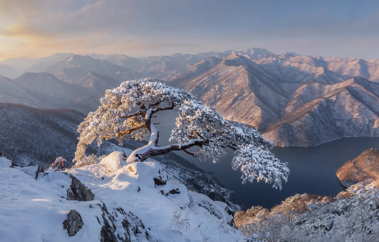 Photo wallpaper winter, snow, landscape, mountains, nature, river, tree, pine