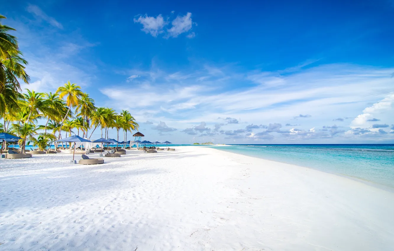 Photo wallpaper sand, beach, palm trees, the ocean, The Maldives, resort, Maldives, Finolhu beach