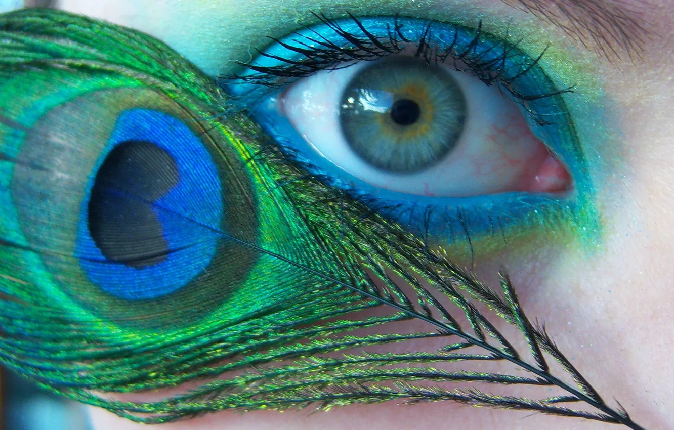 Photo wallpaper green, blue, eye, Peacock feather, bluegreen, ashy