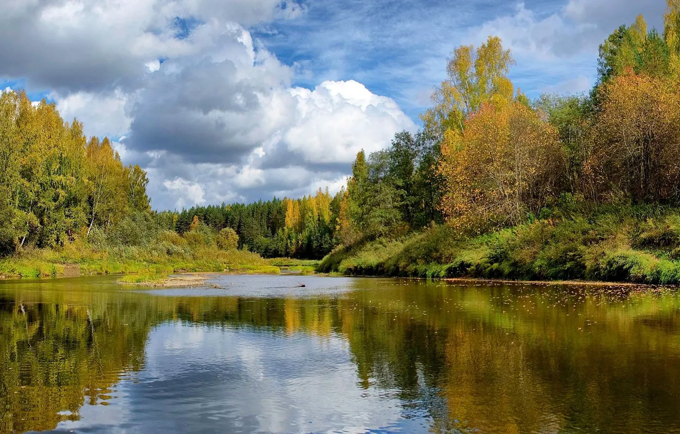 Photo wallpaper autumn, forest, nature, forest river