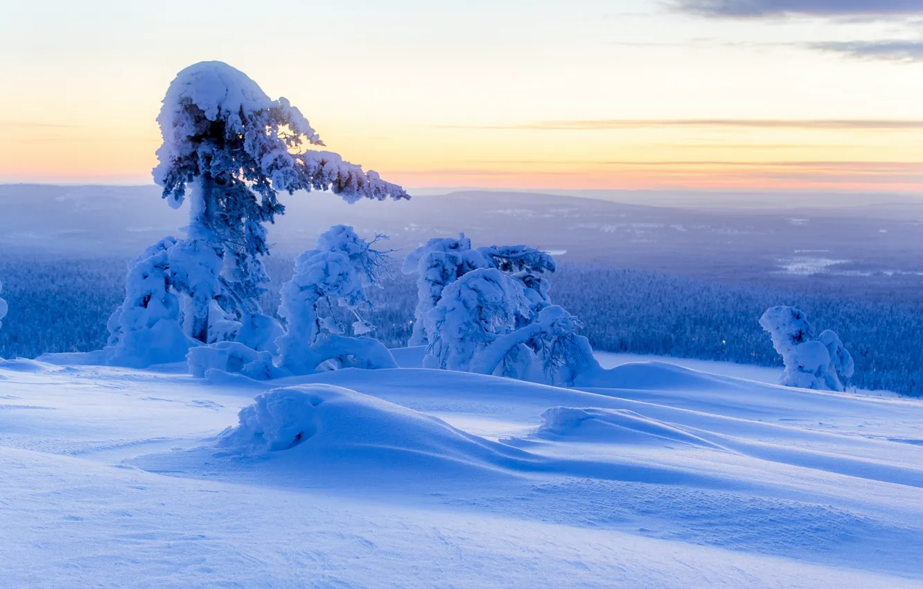 Photo wallpaper winter, snow, trees, panorama, the snow, Finland, Finland, Lapland