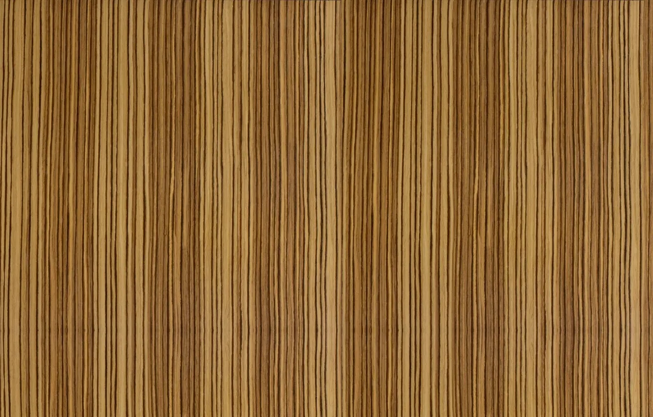 Photo wallpaper style, strip, tree, finish, Zebrano