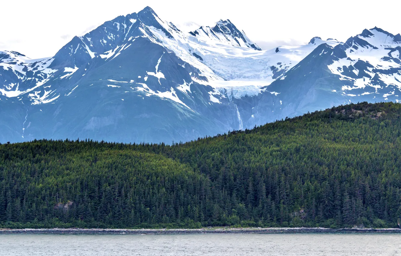 Photo wallpaper sea, forest, trees, mountains, rocks, shore, USA, Alaska