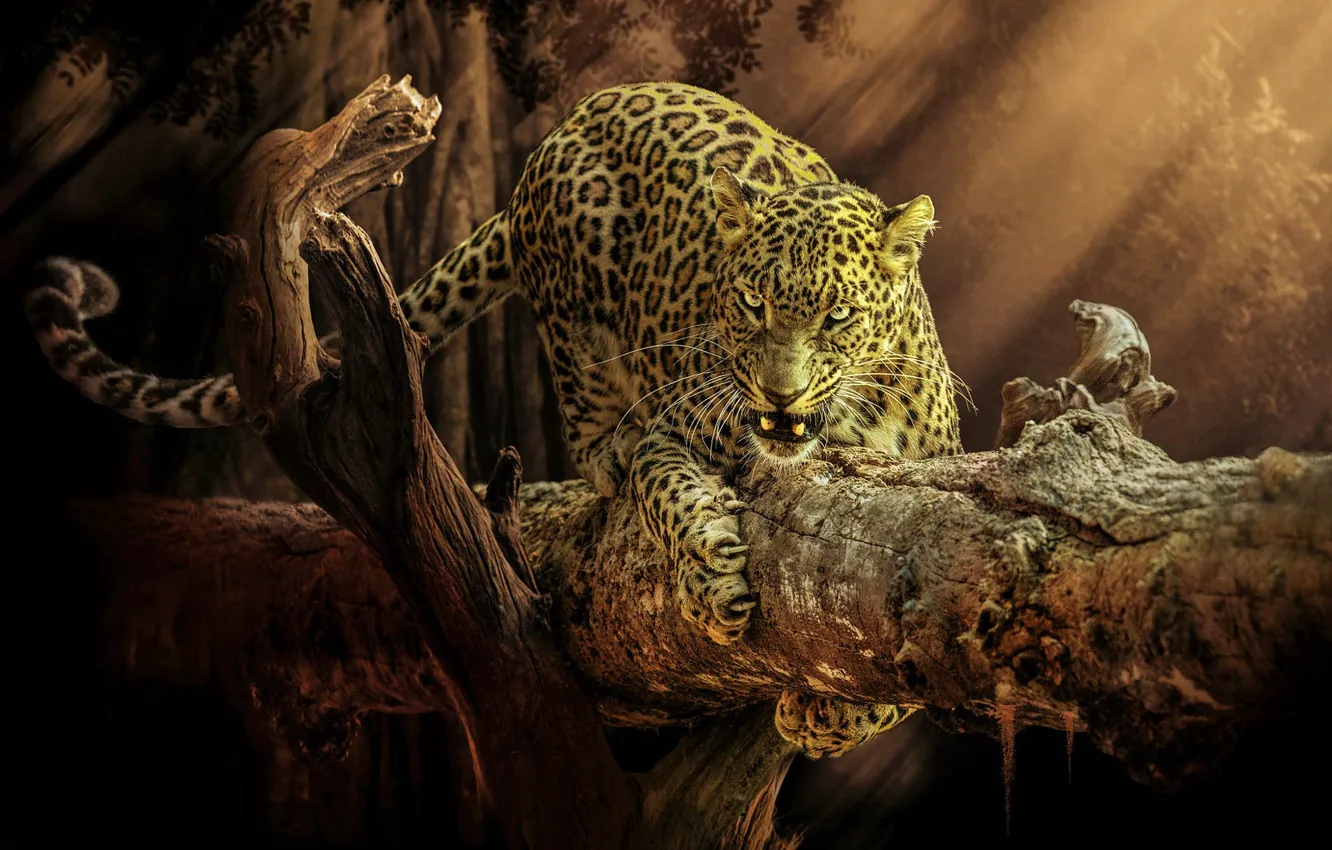 Photo wallpaper jaguar, art, animal