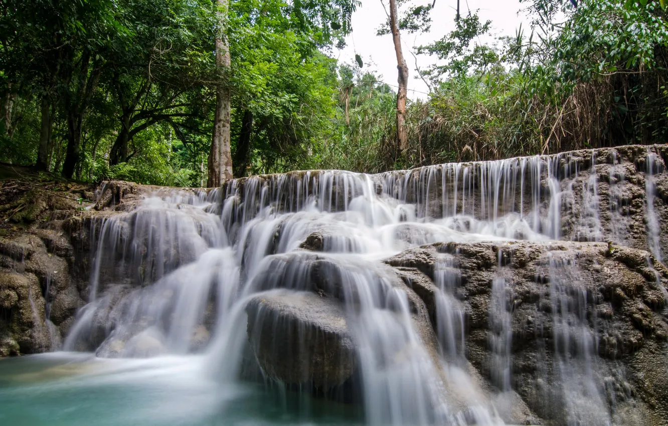 Photo wallpaper forest, trees, tropics, stream, stones, waterfall, Kuang Si Falls, Laos