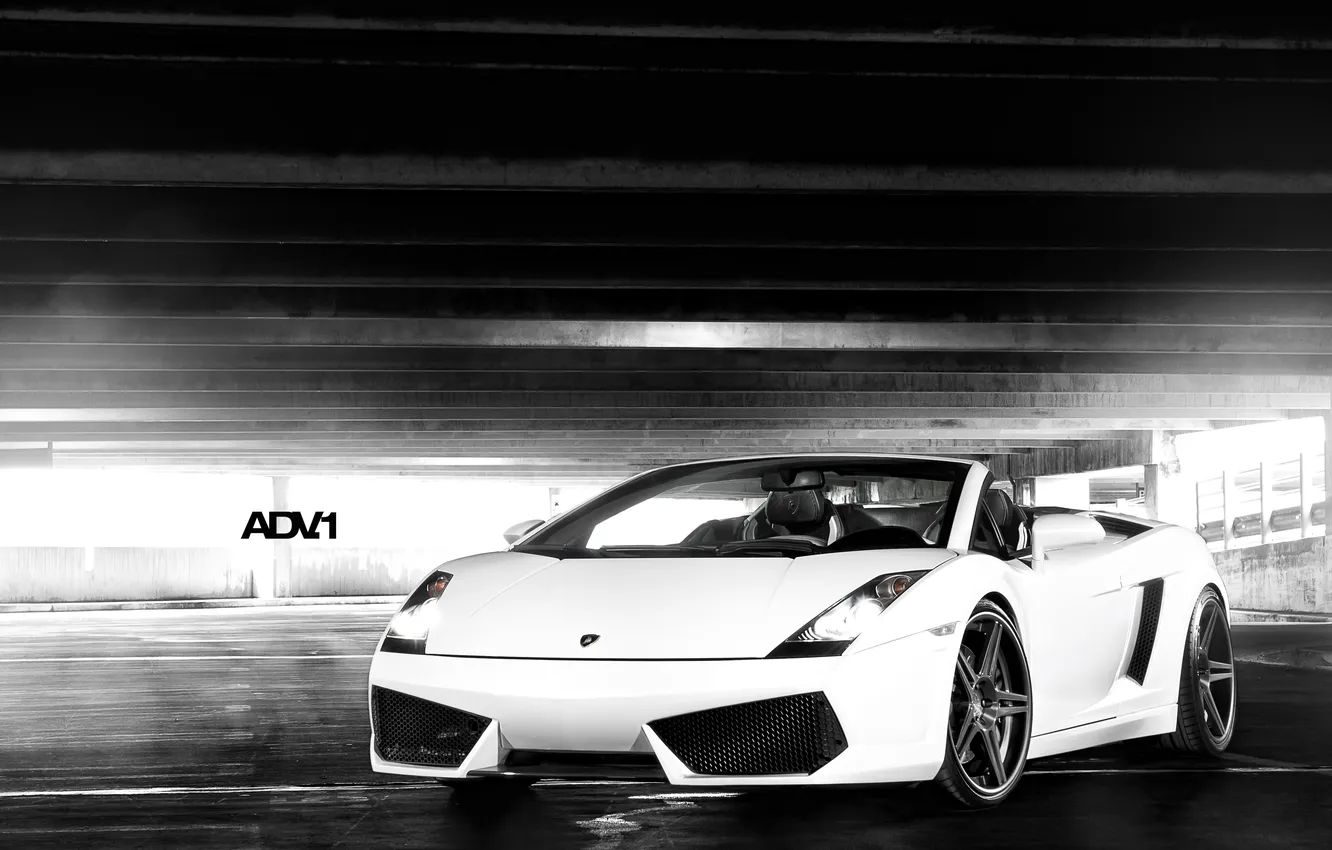 Photo wallpaper white, light, the inscription, garage, Lamborghini, supercar, Gallardo, Spyder