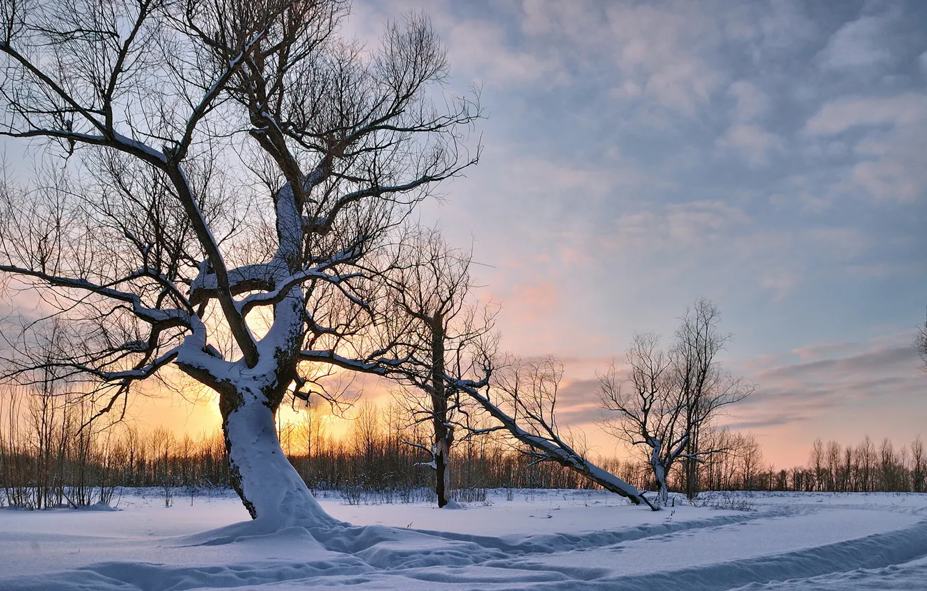 Photo wallpaper winter, snow, landscape, sunset