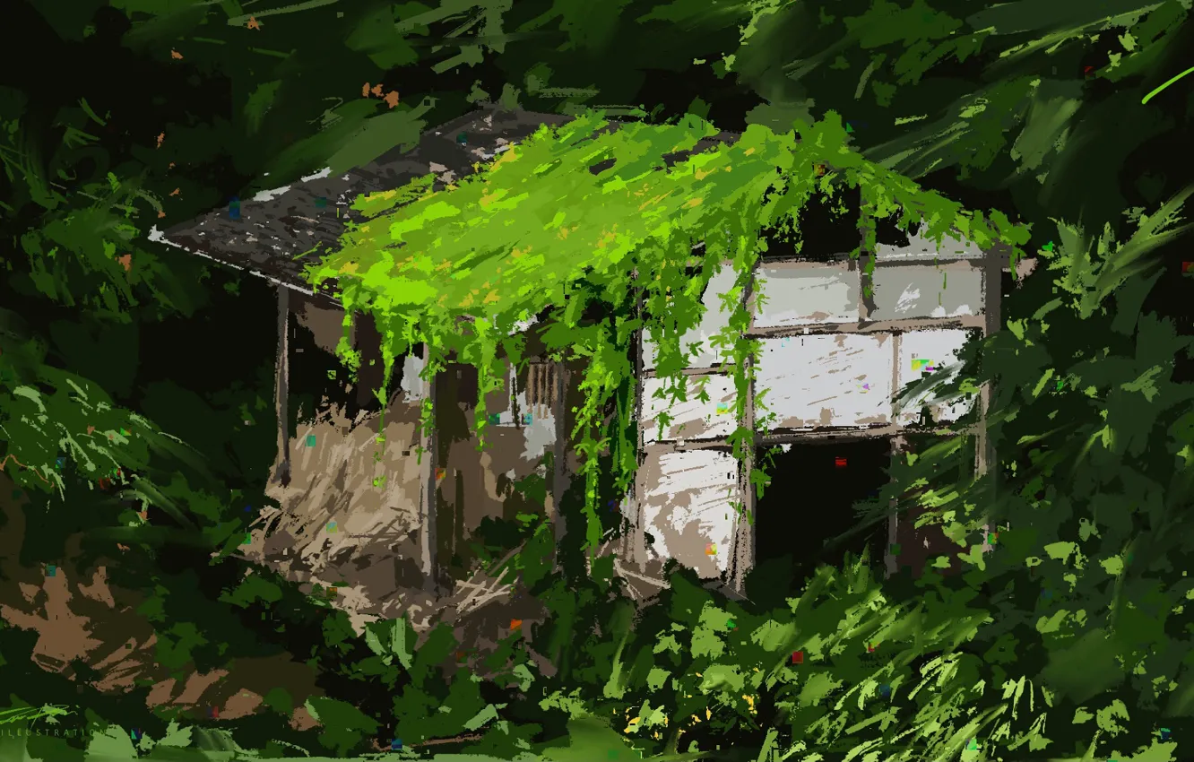 Photo wallpaper forest, house, abandoned