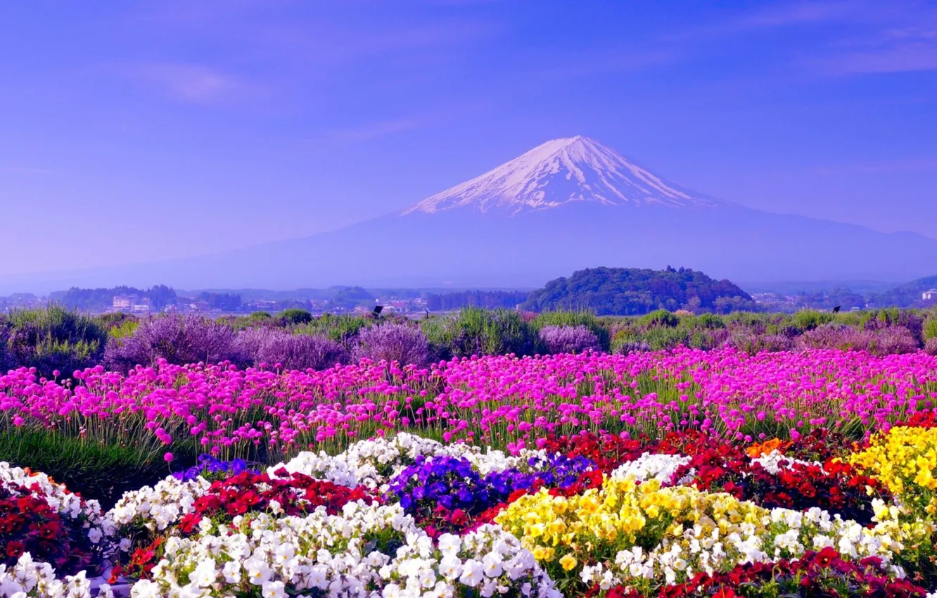 Photo wallpaper Flowers, Japan, Wallpaper, Landscape, Mount Fuji