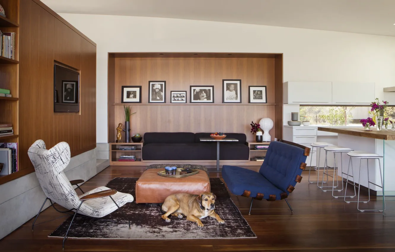 Photo wallpaper design, style, interior, kitchen, Los Angeles, Los Angeles, living room, dining room