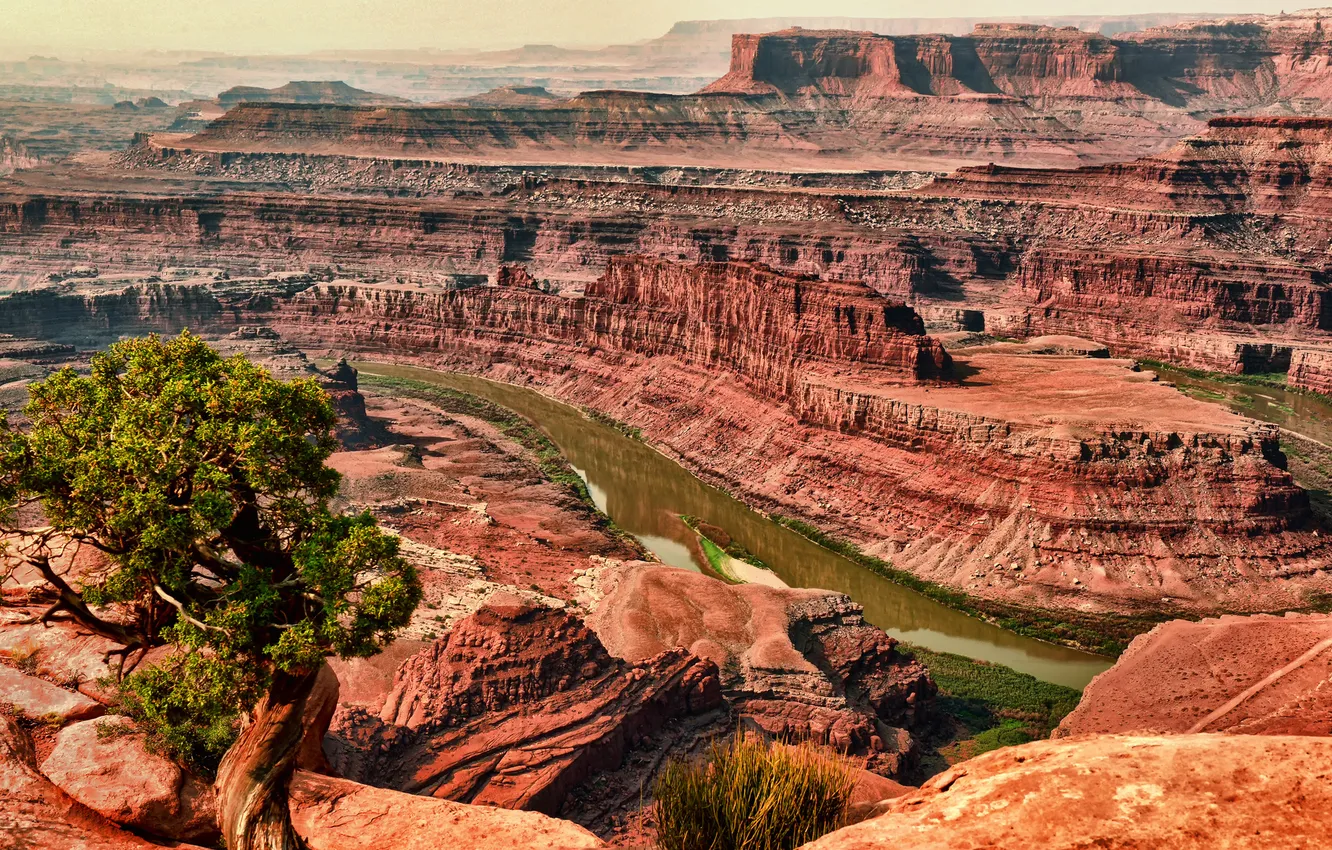 Photo wallpaper trees, mountains, river, rocks, canyon