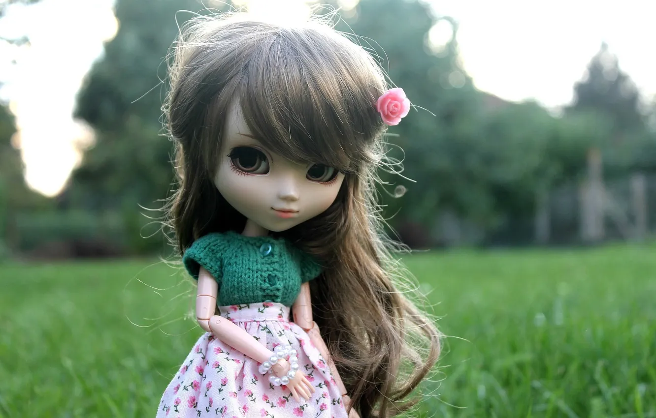 Photo wallpaper nature, toy, doll, Rus