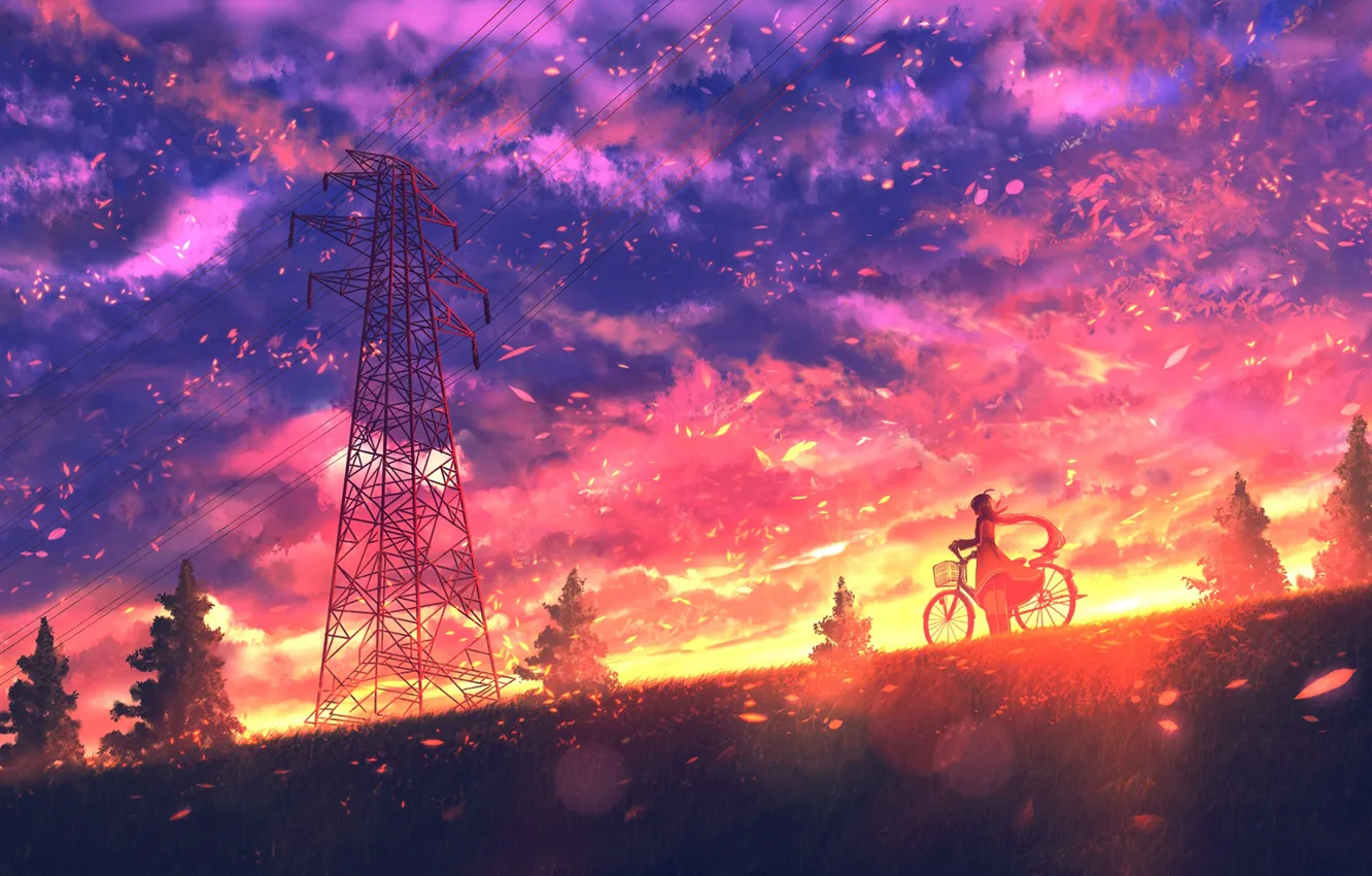 Photo wallpaper girl, sunset, nature, bike