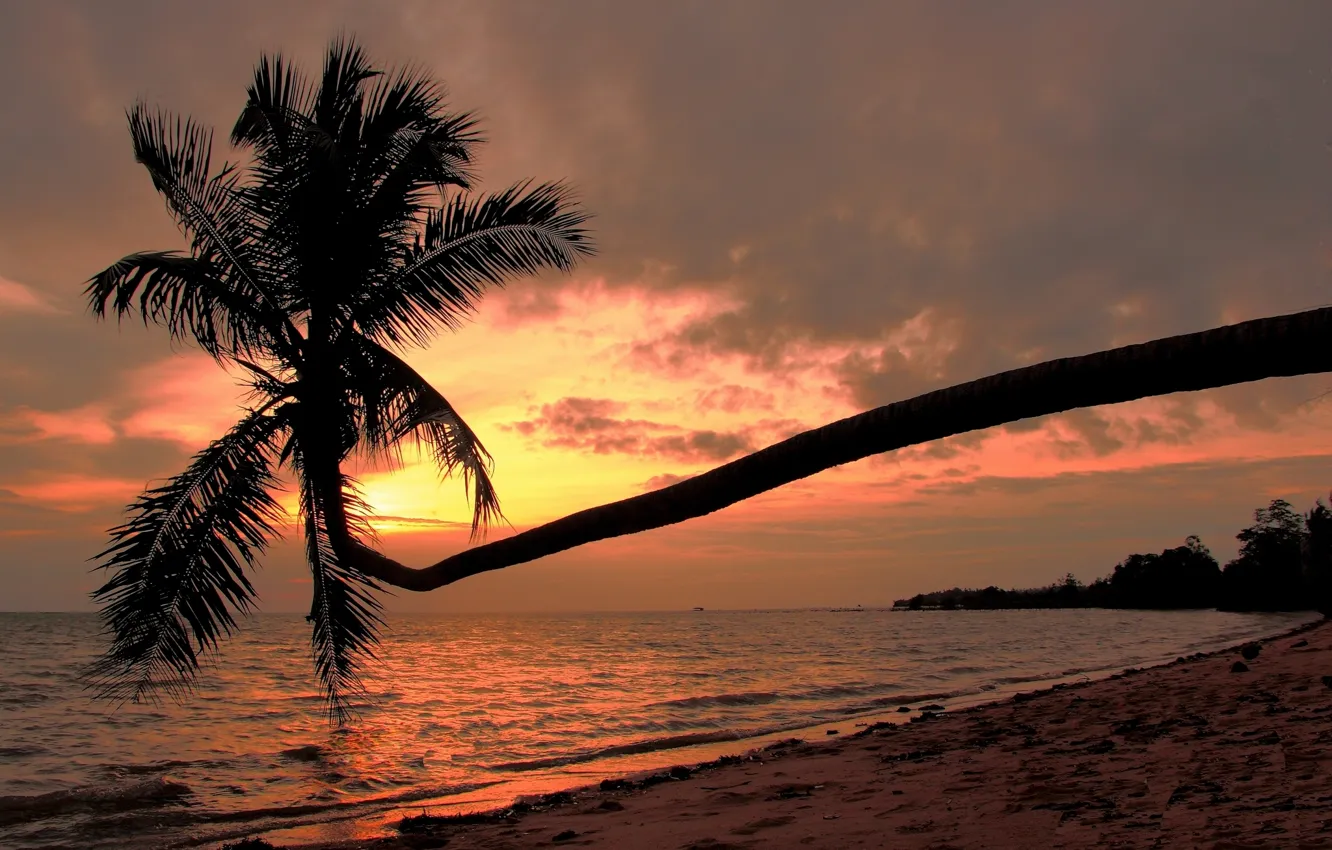 Photo wallpaper beach, sunset, palm trees, coast, Thailand, The Gulf of Thailand, Gulf of Thailand, Ko Phangan