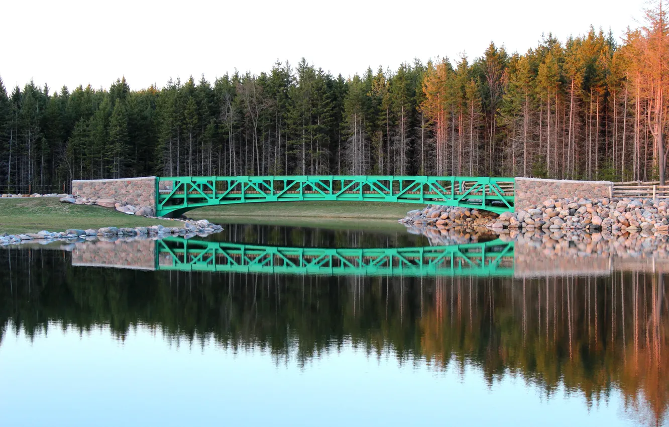 Photo wallpaper autumn, forest, trees, nature, lake, reflection, forest, the bridge