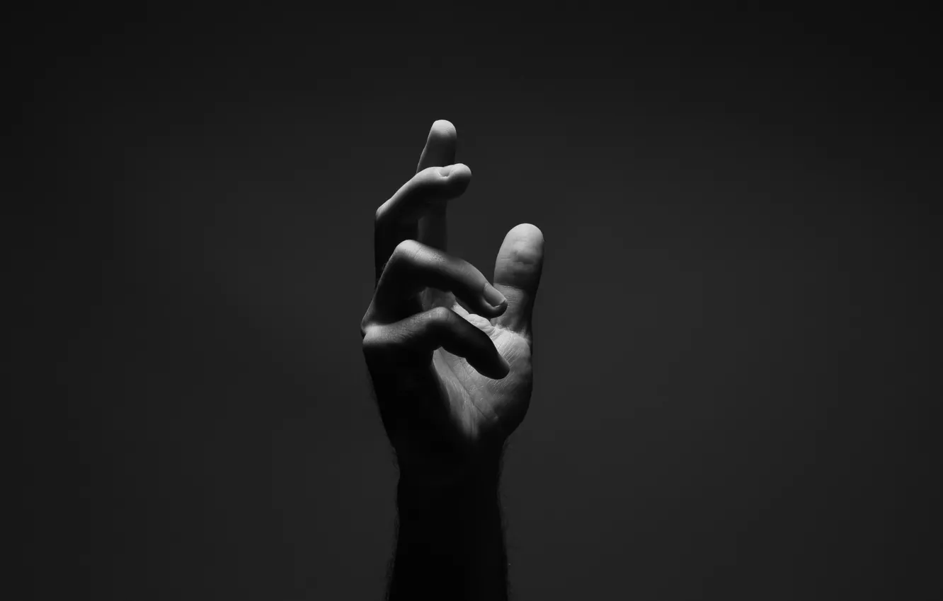 Photo wallpaper background, people, hands