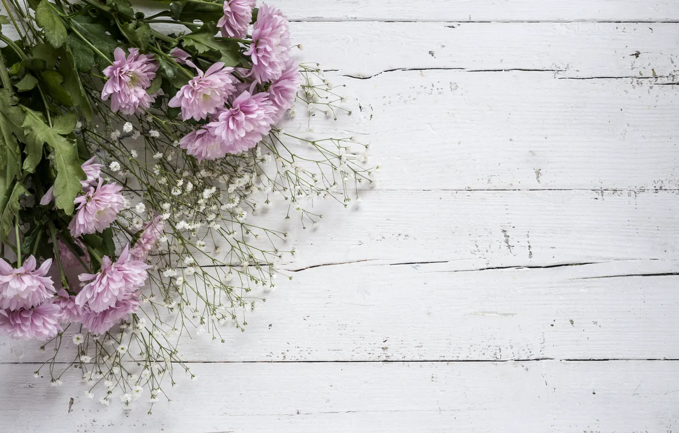Photo wallpaper flowers, background, pink, chrysanthemum, wood, pink, flowers, violet