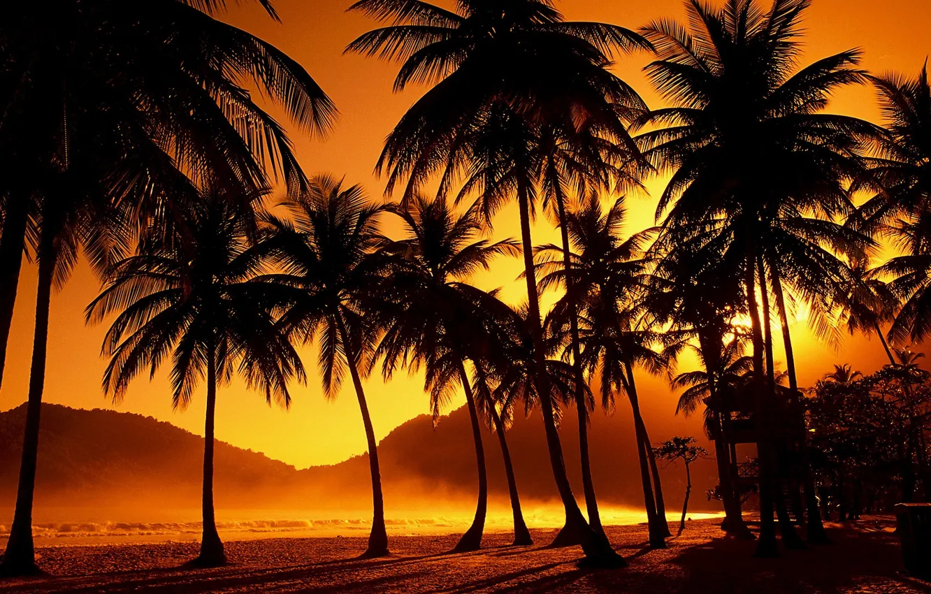 Photo wallpaper sunset, tropics, palm trees, the evening