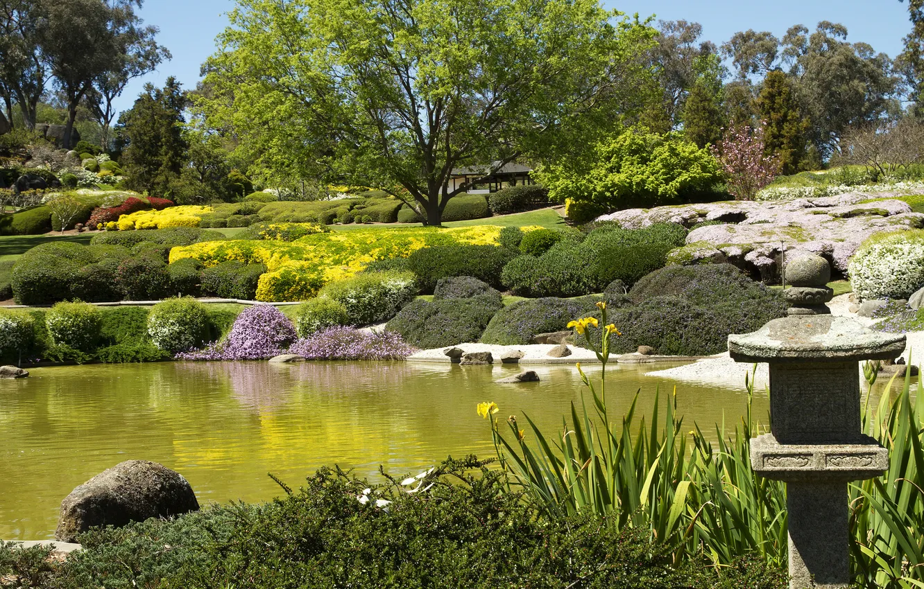 Photo wallpaper grass, trees, pond, stones, garden, Australia, the bushes, Cowra Japanese Garden